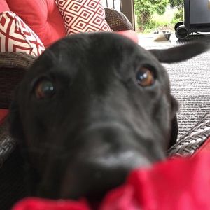 Meet your Posher, Tay